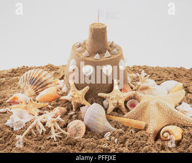 Sandcastle unter Muscheln Seestern. Stockfoto