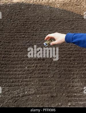 Streuung Samen aus Paket über raked Boden, close-up Stockfoto