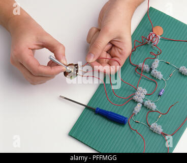 Boy's Hände Anschließen von Drähten aus Steckverbindern an den Klemmen der variable Widerstand (Gebäude a Radio Circuit), close-up Stockfoto