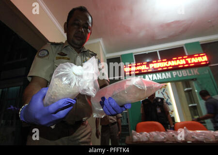 Pekanbaru, Indonesien. 20 Aug, 2018. Offiziere aus Fisch Quarantäne Qualitätssicherung und -kontrolle (SKIPM) Pekanbaru, Provinz Riau, Indonesien, 20. August 2018, hielt eine Plastiktüte Paket mit Fang von Hummer babys Schmuggel 202,500 Babys (Hacken) von Pearl Art Hummer mit einem Gesamtpreis von Rp. 30,375,000,000. Hummer wird durch Singapur Vietnam von indonesischen Gewässern gesendet werden. Credit: Hadley Valdi/Pacific Press/Alamy leben Nachrichten Stockfoto