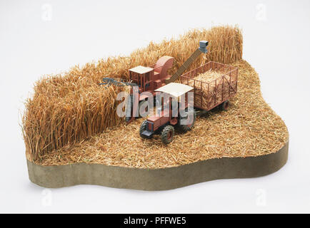 Das Modell ZEIGT DIE ERNTE VON ZUCKERROHR Stockfoto