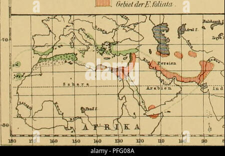 . Denkschriften der Kaiserlichen Akademie, Christian, Mathematisch-Naturwissenschaftliche Classe. TribusScandentes. i" -''-l QehirtikrKjiitissma-,.] UebulilnHIhiiiilis esss OrliirlJriE. ÄUi liir. OfbielflrrFloUidii. [.... J TribusPachycladae. UlliK Irehrrti/erF/Miitiidatii J CirhittikrK. iDtm bin iin S^(hbiet derEsanamqia TrihusLeptocIadae. ^ "IMjirtila-E. ripiiselmu G Ui^ ulJerE (irnmlmiui Ikhiitdri-t'. Velnuhmii |V| ('irUehlirEnHmosprmui © UHR GautdrrEJtdvetiw, SüdgremeundahgelosUmselfonm^ eVabrätungibexirke der F Jiitachyd. {. Bitte beachten Sie, dass diese Bilder aus gescannten pa extrahiert werden Stockfoto