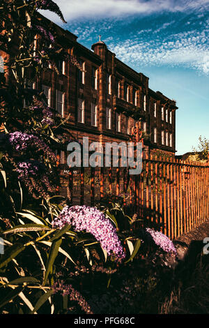 Sir John Maxwell Grundschule mit Blume gegen den blauen Himmel, Glasgow, Schottland Stockfoto