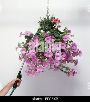 Mit Lance hängenden Korb zu Wasser Stockfoto