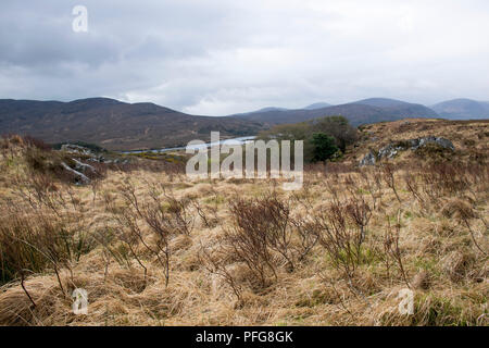 Landschaftsfotografie im Nationalpark Glenveagh in Donegal Irland Stockfoto