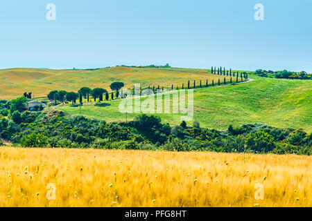 Schöne Landschaft des hügeligen toskanischen Feld mit dem Ackerland, Bauernhaus, die Heuballen und die geschwungene Straße mit der Linie der Zypressen im Valdorcia Stockfoto