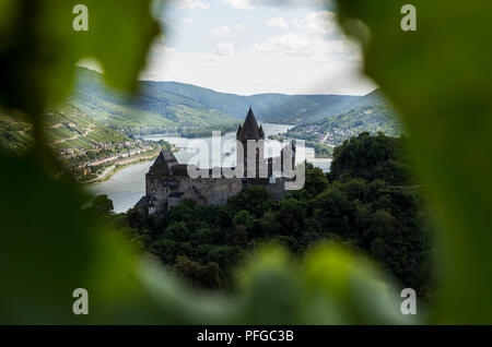 Ein Blick auf die Burg Stahleck und den Rhein aus den umliegenden Weinbergen in Bacharach, Deutschland. Stockfoto