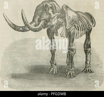 Dieses Werk „das Weltall“ erforscht den Kosmos und seine Entwicklung und konzentriert sich dabei auf die natürlichen Kräfte, die bei der Entstehung und Evolution des Universums spielen. Es geht um die Geschichte und Beschreibungen von Himmelskörpern und betont die Rolle des Kampfes der Natur bei der Gestaltung des Kosmos. Diese kosmologische Studie trägt zu einem tieferen Verständnis astronomischer Phänomene und der natürlichen Prozesse bei, die das Universum regieren. Stockfoto