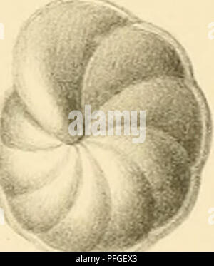 . Denkschriften der Kaiserlichen Akademie, Christian, Mathematisch-Naturwissenschaftliche Classe. /S%. 0. a/y/n. % R' 7-fS. Bitte beachten Sie, dass diese Bilder sind von der gescannten Seite Bilder, die digital für die Lesbarkeit verbessert haben mögen - Färbung und Aussehen dieser Abbildungen können nicht perfekt dem Original ähneln. extrahiert. Kaiserl. Akademie, Christian in Wien. Mathematisch-Naturwissenschaftliche Klasse. Wien: Aus der Kaiserlich-K © Niglichen Hof- und Staatsdruckerei Stockfoto