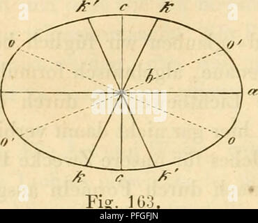 Diese Arbeit zur Mikroskopie beschäftigt sich mit der Theorie und Anwendung des Mikroskops, mit einem Schwerpunkt auf Polarisationsphänomene. Es erläutert die Beziehungen zwischen verschiedenen Lichtwinkeln und wie sie zur Beobachtung mikroskopischer Strukturen verwendet werden, wobei die wichtigsten Prinzipien der optischen Mikroskopie und ihre praktischen Anwendungen in der wissenschaftlichen Forschung herausgestellt werden. Stockfoto