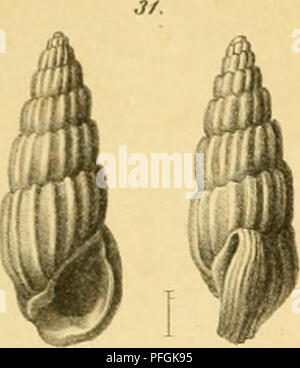 . Denkschriften der Kaiserlichen Akademie, Christian/Mathematisch-Naturwissenschaftliche Classe. Mathematik, Wissenschaft. . Bitte beachten Sie, dass diese Bilder sind von der gescannten Seite Bilder, die digital für die Lesbarkeit verbessert haben mögen - Färbung und Aussehen dieser Abbildungen können nicht perfekt dem Original ähneln. extrahiert. Kaiserl. Akademie, Christian in Wien. Mathematisch-Naturwissenschaftliche Klasse. Wien: Aus der Kaiserlich-Königlichen Hof- und Staatsdruckerei Stockfoto