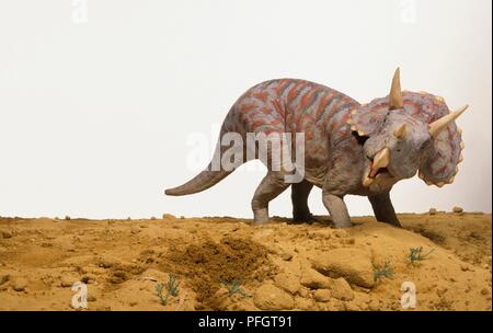 Modell eines Triceratops Dinosaurier stehen auf Sand, über die Schulter schauen, späten Kreidezeit Stockfoto