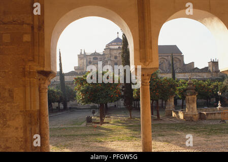 Spanien, Andalusien, Cordoba, die Mezquita, alten Orange Grove im Inneren der Großen Moschee, durch zwei maurischen Bögen gesehen. Stockfoto