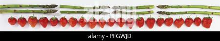 Erdbeeren und Spargel Spears in parallelen Reihen angeordnet, Panoramablick Stockfoto