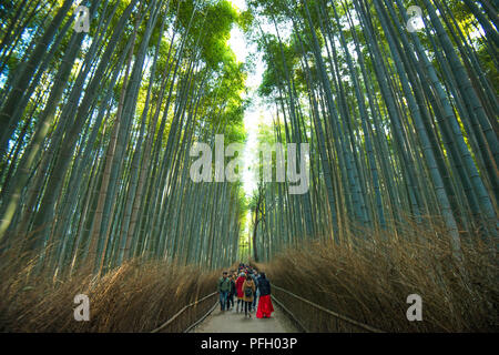 Touristen, die durch den Arashiyama Bamboo Forest in Kyoto City, Japan, wandern. Stockfoto