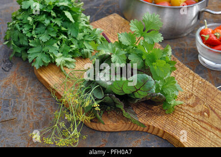 Frische Petersilie, Dill, Mangold, Koriander auf Holzbrett und Tomaten und Chile auf Eisen backgrownd. Im rustikalen Stil. Stockfoto