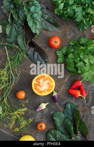 Verschiedene Arten von microgreens. Frische grüne Petersilie, Dill, Mangold, Koriander und Tomaten, Chile auf Eisen backgrownd. Stockfoto