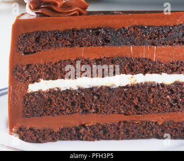 Stück Schokolade Trüffel torte Kuchen, Seitenansicht, in der Nähe Stockfoto