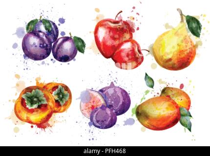 Aquarell Obst set Vektor. Apfel, Pflaume, Birne Sommer Obst Sammlung Stock Vektor