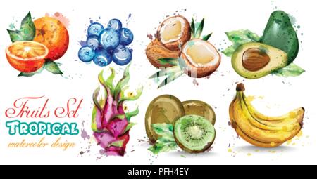 Aquarell Obst set Vektor. Kiwi, Banane, blueberry Tropic Sommer Obst Sammlung Stock Vektor