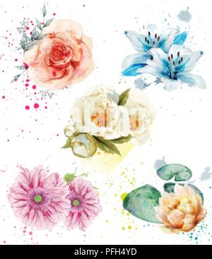 Schöne Blumen Aquarell set Vektor. Blaue Lilie, Gerber und Rosen Floral Collection Stock Vektor