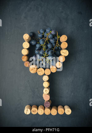 Frische organische blaue Trauben in ein Glas Form der bottlecork Stockfoto