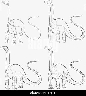 4 schwarz-weisse Abbildungen zeigt, wie das Konstrukt adrawing von Diplodocus Dinosaurier Stockfoto