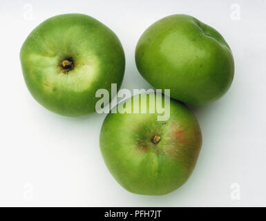 Drei Äpfel' Bramley' Stockfoto