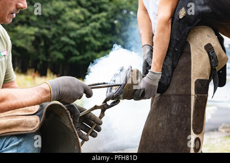 Nahaufnahme der menschlichen Hände Hot Shoe auf Pferd Paw Stockfoto