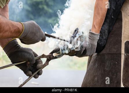 Nahaufnahme der menschlichen Hände Hot Shoe auf Pferd Paw Stockfoto