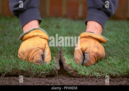 Hände von Mann, Gartenhandschuhe drücken Sie auf benachbarte Ecken von frischem Rasen Plätze, in der Nähe Stockfoto
