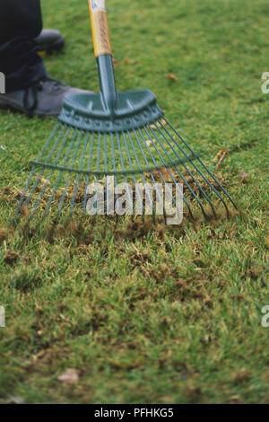 Harken eine Wiese, in der Nähe Stockfoto