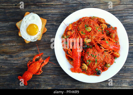 Huhn Marengo - lecker Hühnerfleisch Eintopf mit crawfishies, gehackte Tomaten, Zwiebeln, Champignons und Oliven auf weiße Platte, Toast mit sonnigen s gekrönt Stockfoto