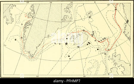 . Die dänische Ingolf-Expedition. Marine Tiere; Meerestiere; Flüsse; Flüsse; wissenschaftliche Expeditionen. 182 HYDROIDA II beide Arten in der Davis Strait auftreten, sehr häufig auf beiden Seiten des o° isotherm, aber nicht weiter in die Tiefe von der Küste Banken gehen. Beide sind jedoch offenbar völlig fehlt entlang der Ostküste von Grönland südlich von 76°N. Dies kann wegen Mangel an Untersuchungen, aber es scheint wahrscheinlich, dass der Grund eher in der Tatsache, dass das Wasser wegen der umfangreichen interming-ling von frischem und eiskalte Gletscherwasser ist schlecht in geeigneten Formen der n gesucht werden Stockfoto