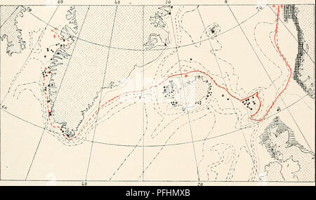 . Die dänische Ingolf-Expedition. Wissenschaftliche Expeditionen; Arktischen Ozean. HVIIROIDA II 181 in Folge traf in der Davis Strait, die damit bewiesen ist, jedenfalls zum Teil in der Boundary Waters der borealen Zone. Doch die Arten dringen nur ganz ausnahmsweise in die West Green-land Fjord, die als rein Arktis angesehen werden, was zum Teil auf die Vermischung der Schmelzwasser von den Gletschern und teilweise auf den Norden - Zweig der Ostgrönland Polar Aktuelle, die Cape Farewell rund und läuft in einiger Entfernung von der Küste Hier finden wir noch Dynamena p Stockfoto