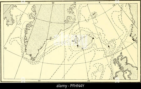 . Die dänische Ingolf-Expedition. Marine Tiere; Meerestiere; Flüsse; Flüsse; wissenschaftliche Expeditionen. 112 HYDROIDA 11 Diphasia rosacea (Linne) L. Agassiz. 1758 Sertularia rosacea, Linne, Systema Naturae, Ed. 10, S. 807. 1862 Diphasia rosacea, L. Agassiz, Beiträge zur natürlichen Geschichte der Vereinigten Staaten, Bd. 4, S. 355. Aufrechte Kolonien ohne deutliche Hauptstamm. Die Kolonien sind unregelmäßig Gefiedert oder bushily verzweigten, segmentiert, und mit einem Paar von entgegengesetzt platzierte hydrothecse auf jedem Internodium. Die hydrothecse sind schlank, fast gleichmäßig röhrenförmig, mit leicht divergen Stockfoto