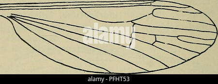 Dieses dänische Handbuch konzentriert sich auf die Fauna Dänemarks und beschreibt Arten wie die Crypteria limnophiloides und andere lokale Insekten. Es enthält Beschreibungen von Arten, einschließlich anatomischer Details und ökologischem Verhalten in der dänischen Umwelt. Stockfoto