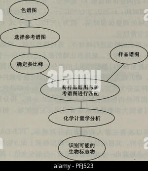 Dieser Eintrag bezieht sich auf eine wissenschaftliche Arbeit über die Anwendung von GC-FID- und GC-MS-Techniken in der botanischen Analyse. Es werden Methoden zur Identifizierung chemischer Verbindungen in pflanzlichen Materialien erörtert, wobei der Schwerpunkt auf der Verwendung dieser Techniken für Pflanzenforschung und Umweltstudien liegt. Stockfoto