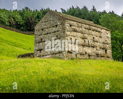 Swaledale in den Yorkshire Dales National Park seinen oberen Teile besonders auffällig sind wegen der großen alten Kalkstein Feld Scheunen, Wände aus Stein Stockfoto