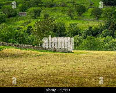 Swaledale in den Yorkshire Dales National Park seinen oberen Teile besonders auffällig sind wegen der großen alten Kalkstein Feld Scheunen, Wände aus Stein Stockfoto