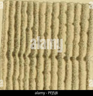 . Denkschriften der Kaiserlichen Akademie, Christian/Mathematisch-Naturwissenschaftliche Classe. Mathematik, Wissenschaft. ".. IHi. Bitte beachten Sie, dass diese Bilder sind von der gescannten Seite Bilder, die digital für die Lesbarkeit verbessert haben mögen - Färbung und Aussehen dieser Abbildungen können nicht perfekt dem Original ähneln. extrahiert. Kaiserl. Akademie, Christian in Wien. Mathematisch-Naturwissenschaftliche Klasse. Wien: Aus der Kaiserlich-Königlichen Hof- und Staatsdruckerei Stockfoto