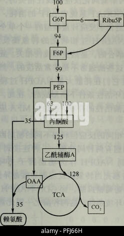 . Dai Xie gong Cheng. Botanik. ??? ???. 35 72. Bitte beachten Sie, dass diese Bilder sind von der gescannten Seite Bilder, die digital für die Lesbarkeit verbessert haben mögen - Färbung und Aussehen dieser Abbildungen können nicht perfekt dem Original ähneln. extrahiert. Gregory N. Stephanopoulos Aristos A. Aristidou Jens Nielsen. Hua xue Gong ihr Chu verbot sie Stockfoto