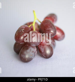 Kleine Gruppe von roten Trauben, close-up Stockfoto