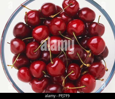 Prunus sp., Kirsche, reife rote Kirschen auf runden Platte, Ansicht von oben. Stockfoto