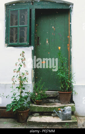 Außenansicht der geschlossenen Fenster in weiße Wand, zwei alte Steinstufen, der bis zu den grünen Tür mit Farbe weg getragen, Pflanzen mit Blumen, Gießkanne und Tasche auf und die nächsten Schritte. Stockfoto