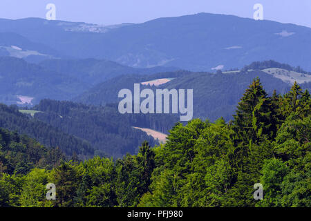 Landschaft im Schwarzwald bei Furtwangen, Deutschland. Stockfoto