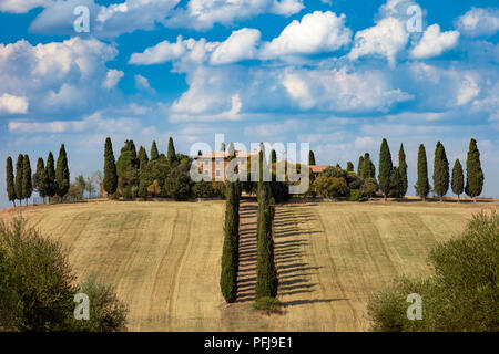 Von Bäumen gesäumten Antrieb zu Land Villa in der Nähe von San Qurico d'Orcia, Toskana Italien Stockfoto