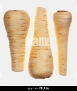 Drei Pastinaken Stockfoto