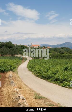 Kroatien, Dalmatien, Orebic, country lane durch die Weinberge, das Dorf in der Ferne Stockfoto