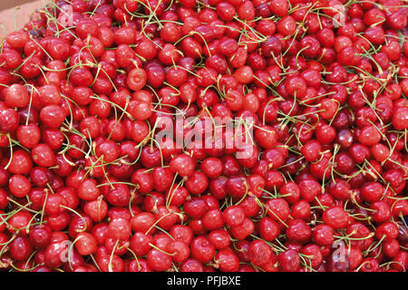 Frische rote Kirschen auf dem Markt, Ansicht von oben Stockfoto